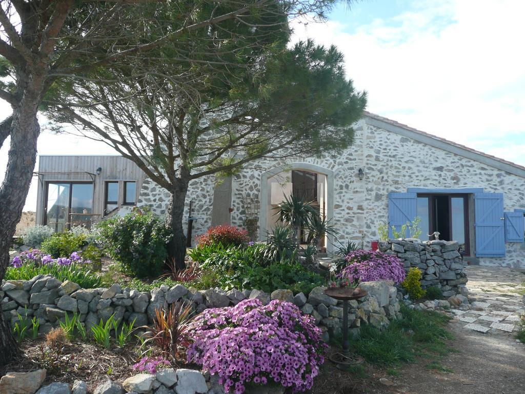 Roquefort-des-CorbièresDomaine Castelsec别墅 客房 照片